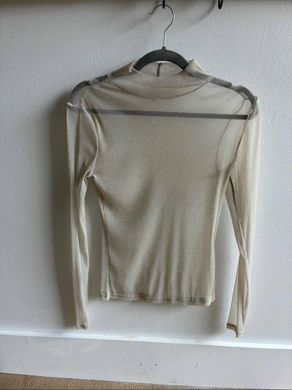Sheer Metallic Long Sleeve Mock Neck Top - Cream